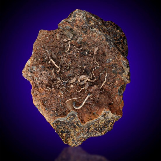 Silver-Jachymov | Krušné Hory | Karlovy Vary Region |  Czech Republic